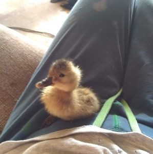 Meet your Posher, Michele